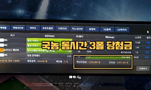 스마일 마이볼 먹튀 2.jpg