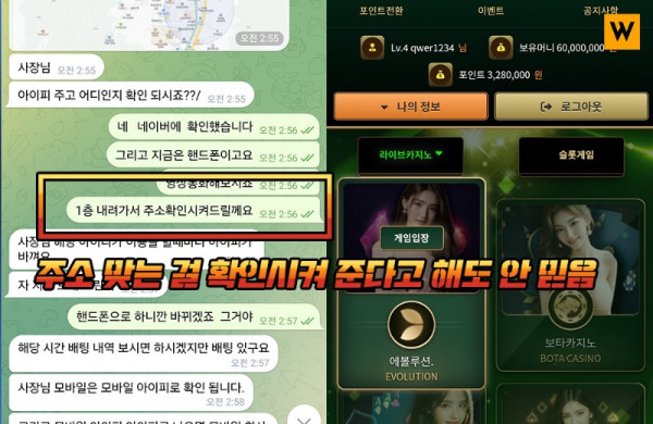 올리브 3.jpg